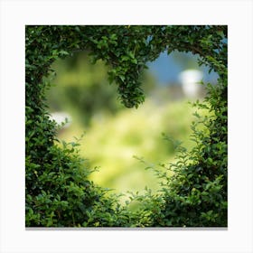 Heart Shaped Hedge Canvas Print