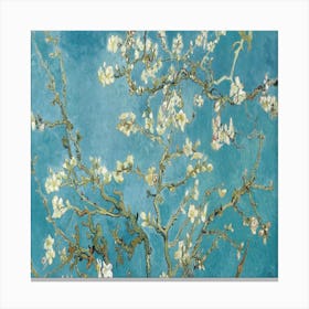 Blossoming Almond Tree 7 Canvas Print