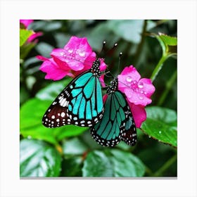 Butterfly Couple Canvas Print