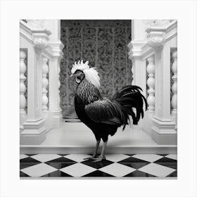 Rooster Canvas Print