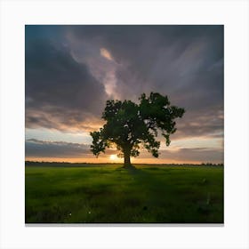 Tree At Sunset Canvas Print