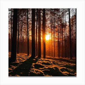 Sunrise In The Forest 3 Canvas Print