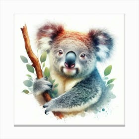 Koala Bear 2 Canvas Print