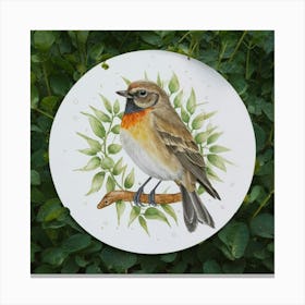 Robin Canvas Print