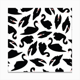 Black Swan Pattern On White Square Canvas Print