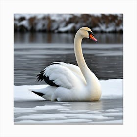 Cisne En La Nieve Canvas Print