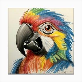 Colorful Parrot 49 Canvas Print