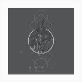 Vintage St. Bruno's Lily Botanical with Line Motif and Dot Pattern in Ghost Gray n.0116 Canvas Print