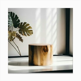 Tree Stump On A Window Sill Canvas Print