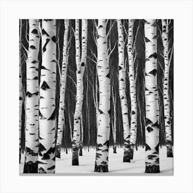 Birch Trees 3 Canvas Print