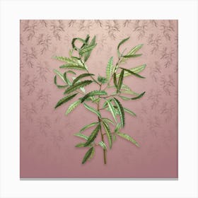 Vintage Sweetfern Botanical on Dusty Pink Pattern n.1229 Canvas Print