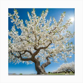 Capture The Magic Of Cherry Blossoms 1 Canvas Print