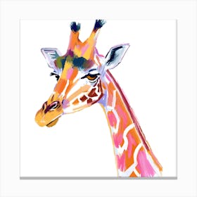 Southern Giraffe 04 Canvas Print