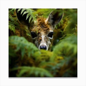 Fawn In The Forest Canvas Print