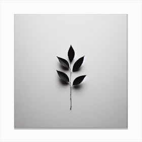 Black And White Leaf Canvas Print