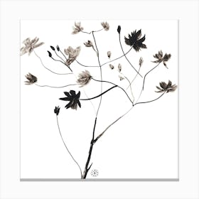 Ink Branch - minimal black and white simple line plant square Canvas Print