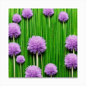 Purple Chrysanthemums 1 Canvas Print