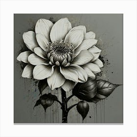 Dahlia 21 Canvas Print