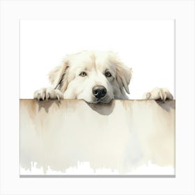 White Shepherd Dog Canvas Print