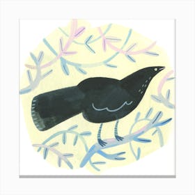 Blackbird Canvas Print
