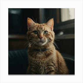 Default Cat Freddie Art 2 Canvas Print