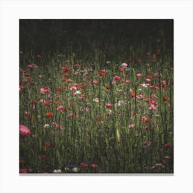 Wildflowers Canvas Print