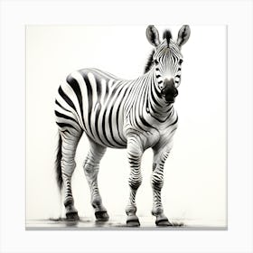 Savannah Stripes The Elegant Zebra Canvas Print