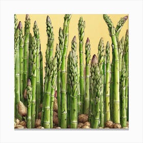 Frame Created From Asparagus On Edges And Nothing In Middle Ultra Hd Realistic Vivid Colors High Canvas Print