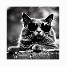 Cat In Sunglasses 7 Canvas Print