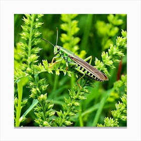 Grasshoppers Insects Jumping Green Legs Antennae Hopper Chirping Herbivores Garden Fields (2) Canvas Print