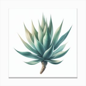 Agave Canvas Print