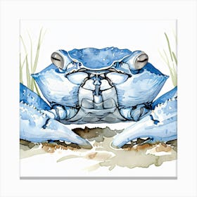 Blue Crab Canvas Print