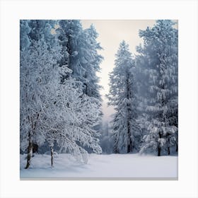 Snowy Forest Canvas Print