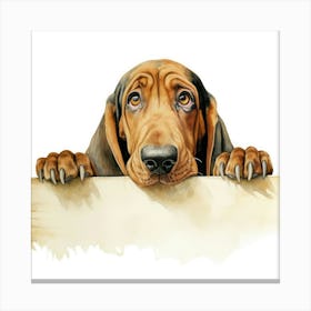 Hound Dog 1 Canvas Print