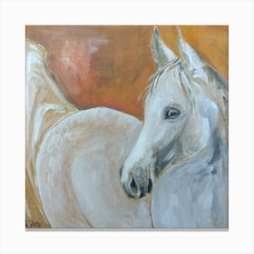 White Beauty Animal Wall Art, Horse Canvas Print