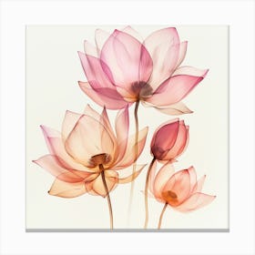 Lotus3 Canvas Print