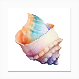 Sea Shell  Canvas Print