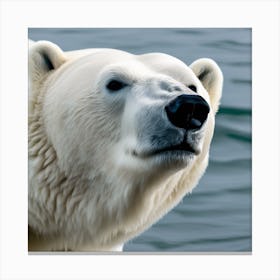 Polar Bear 1 Canvas Print