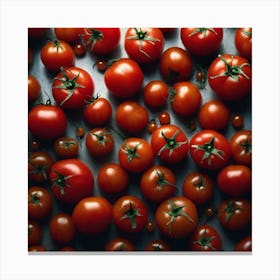 Ripe Tomatoes 1 Canvas Print