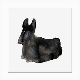 Scottish Terrier Canvas Print