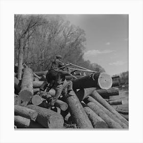 Lumberjack Using Peaveys To Remove Logs From Banks Of Little Fork River, Near Littlefork, Minnesota By Russell Lee 1 Canvas Print