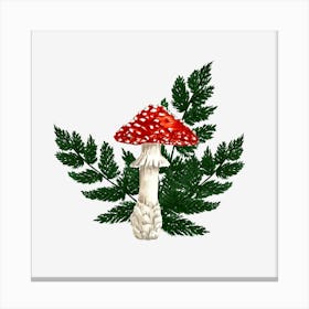 Fly Agaric and Fern Canvas Print