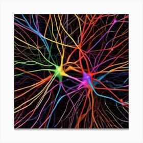 Neuron Stock Videos & Royalty-Free Footage 11 Canvas Print
