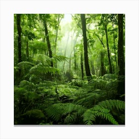 Firefly Rainforest Forest Background 25252 Leinwandbild