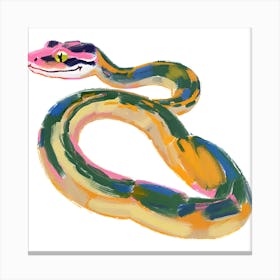 Ball Python Snake 02 Canvas Print