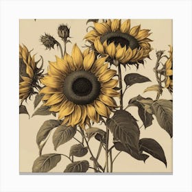 Default Default Retro Vintage Sunflower For Defferent Seasons 3 (2) Canvas Print