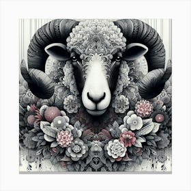 Ram'S Head Canvas Print