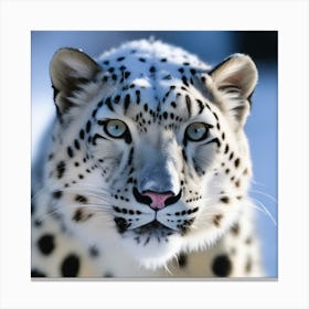 Snow Leopard 14 Canvas Print