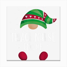 Triage Nurse Gnome Family Matching Christmas Pajamas Canvas Print