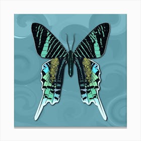 Mechanical Butterfly The Urania Leilus On A Light Blue Background Canvas Print